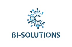 logo BI-SOLUTIONS