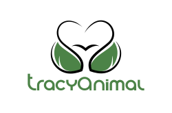 TracyAnimal