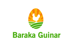 Baraka Guinar