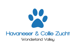 logo Havaneser & Collie Zucht