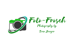 Probieren Sie Unseren Logo Maker Foto Aus Um Ein Professionelles Logo Zu Entwerfen