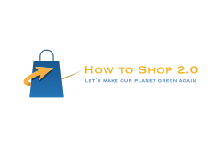How to Shop 2.0