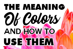 Die Bedeutung von Farben und wie man sie beim Markendesign einsetzt