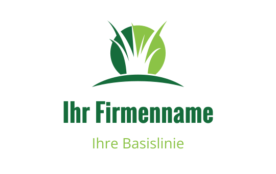 Logo design preview