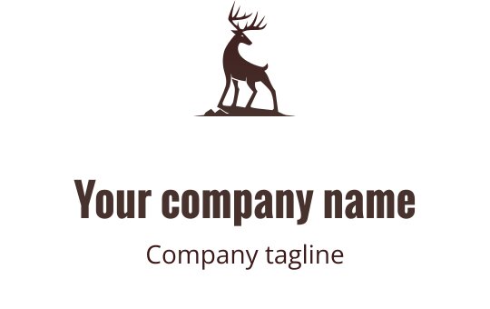Logo design preview